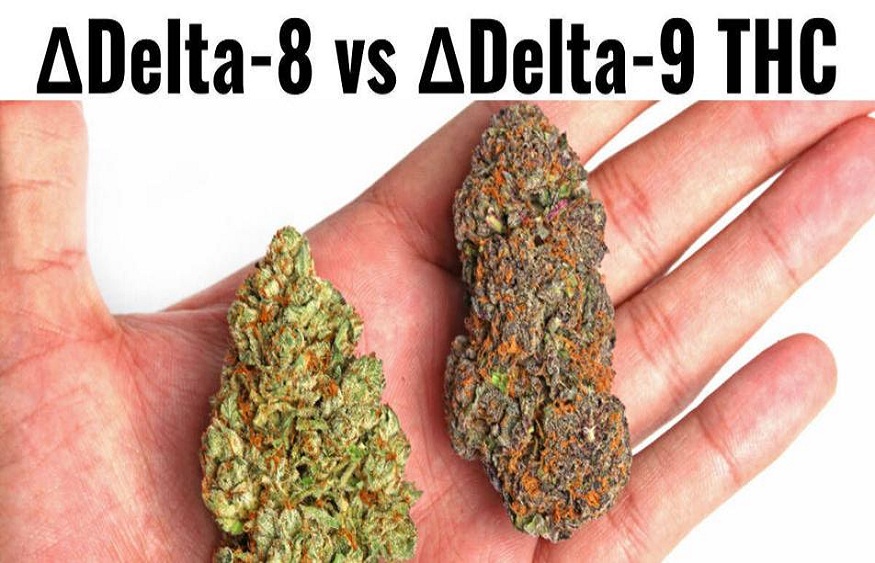 Delta 8 and Delta